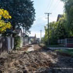 14918839_10154777927393534_5815125861753921029_o