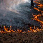 FOREST-FIRE-DOMTAR-NEWSROOM