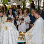 DJR_2648